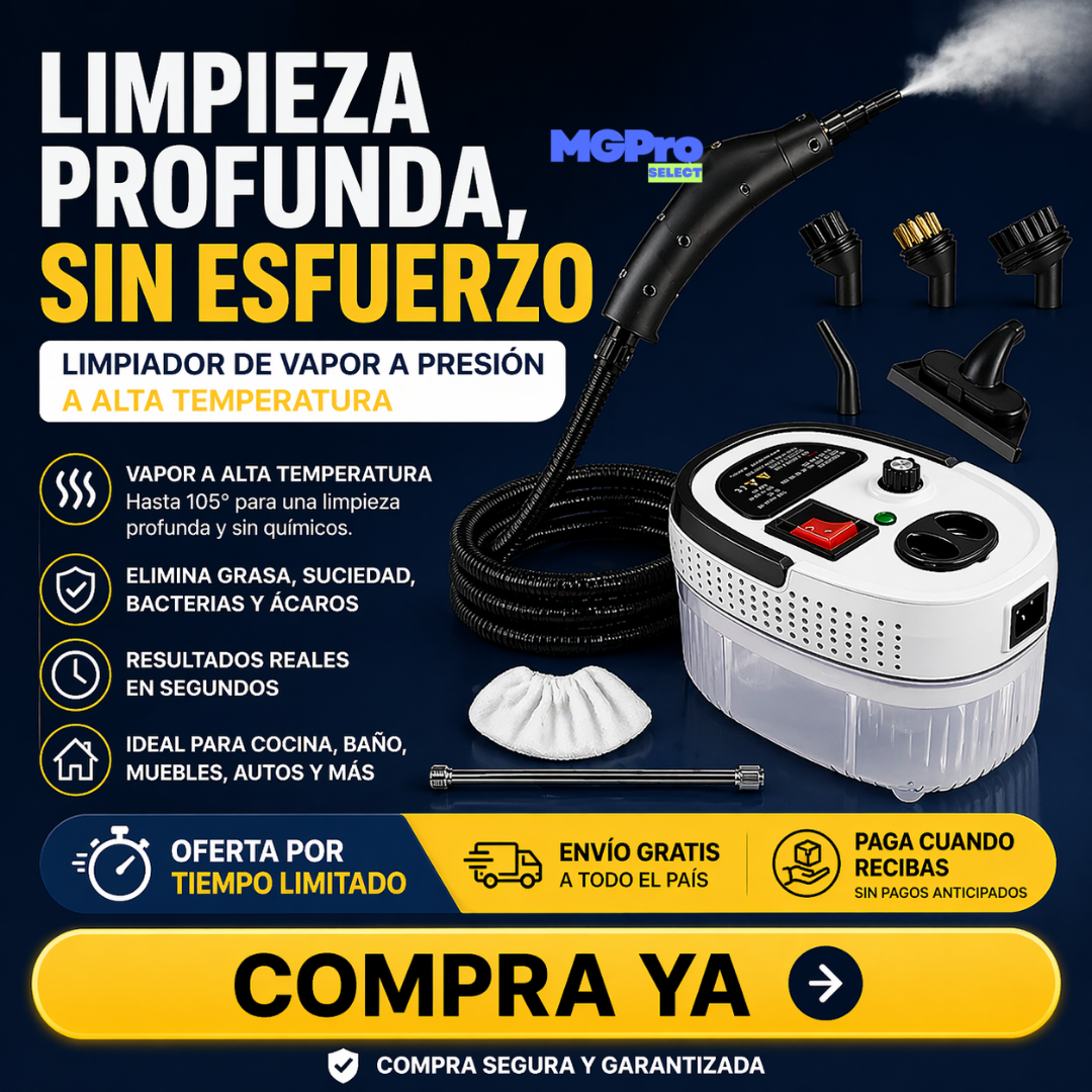 Limpiador de Vapor a Presion de Alta Temperatura