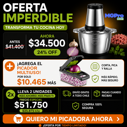 Picadora Electrica Dos Velocidades